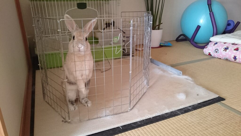 初期のころ
